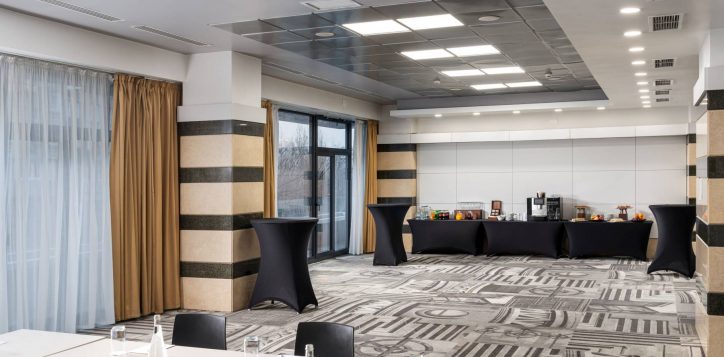 mircea-voda-conference-room2-resized-2